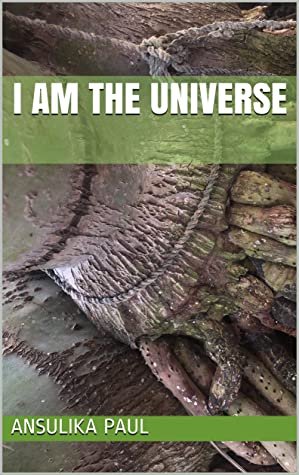 i am the universe